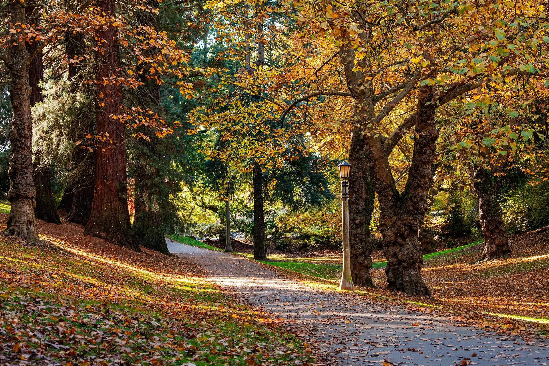 Business Planning - Harris & Bowker LLP